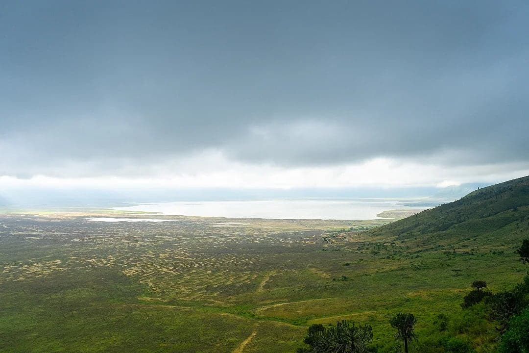Ngorongoro Crater