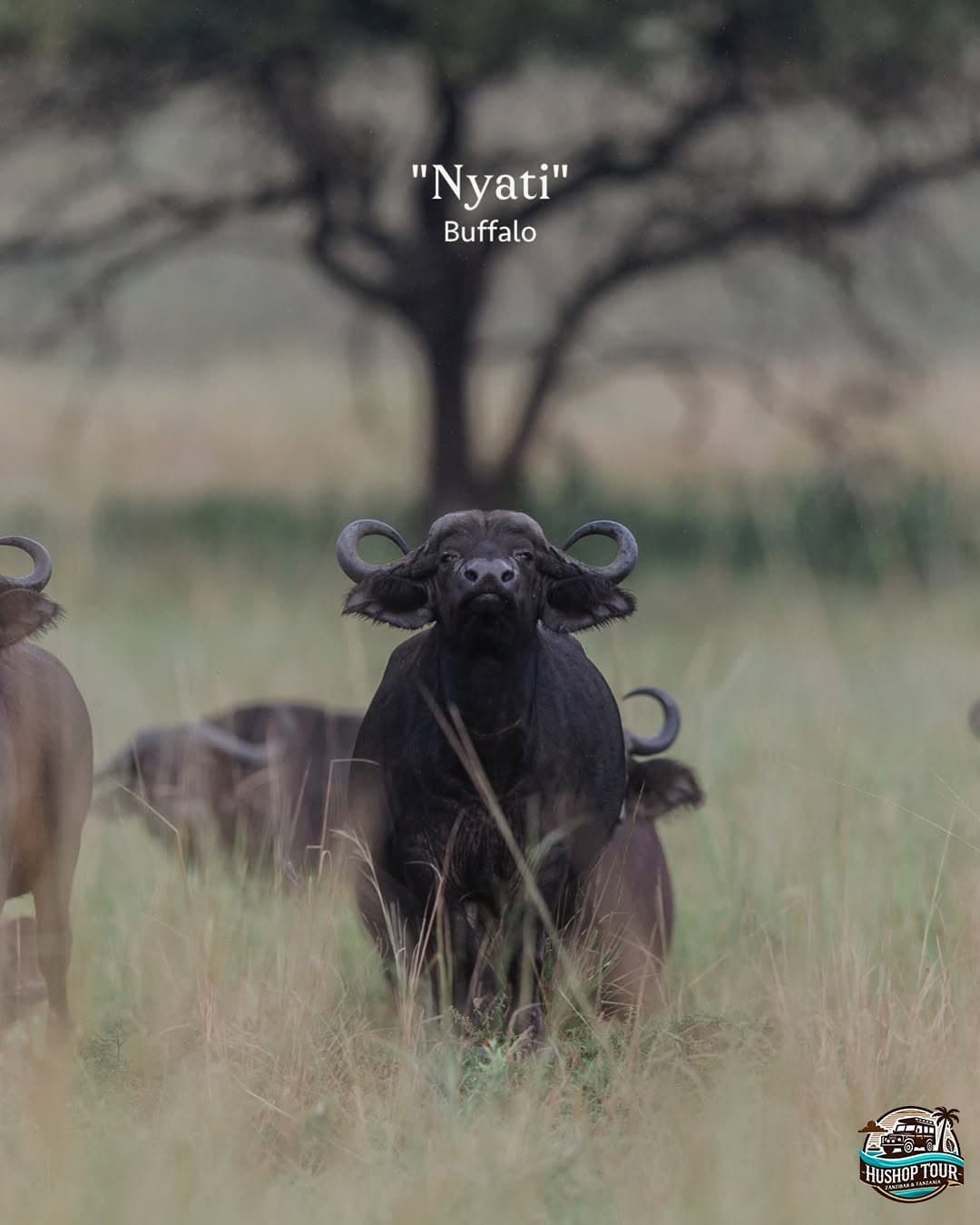 Hero 3