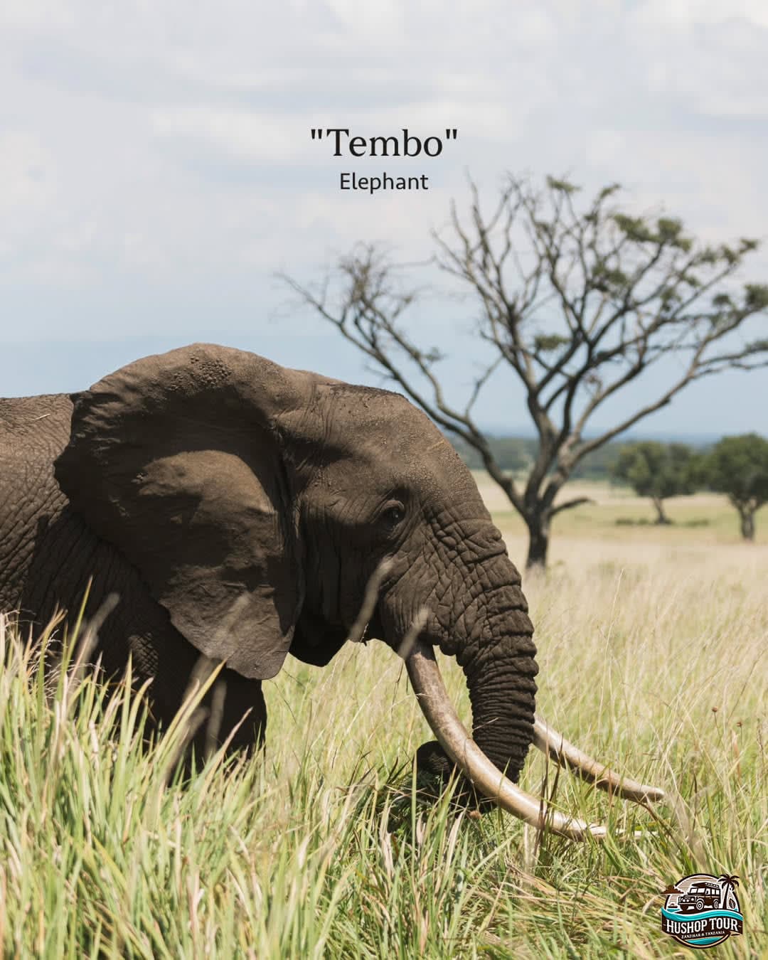 Hero 6