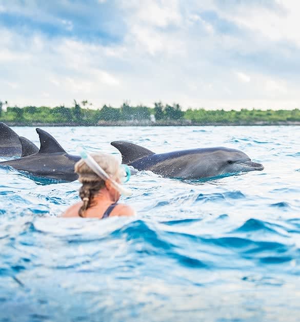 Dolphin Tour — Kizimkazi
