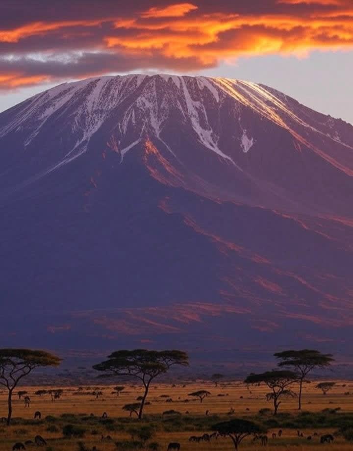 Mountains