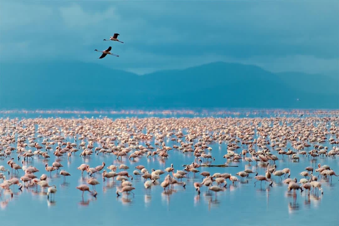 Lake Manyara