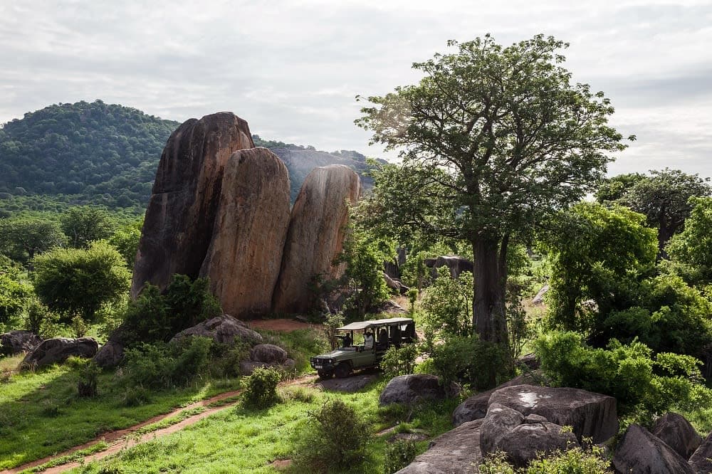 Ruaha National Park Safari